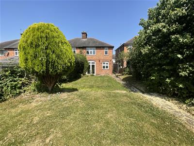 Picture 29